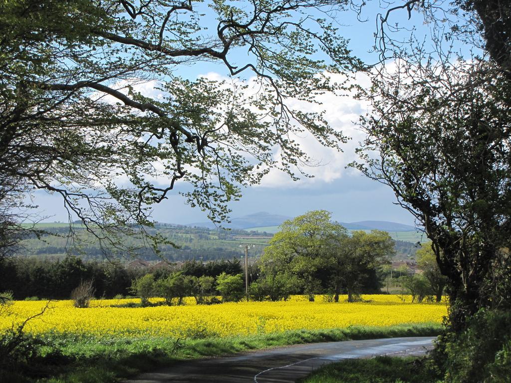 ארקלו Moneylands Farm B&B מראה חיצוני תמונה